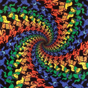 Meet your Posher, Lilz